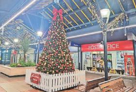 Wish comes true as tree unveiled at shopping centre