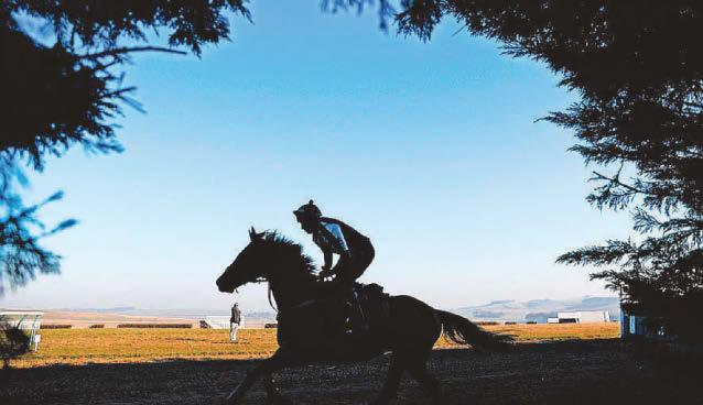 Opportunity presents itself on track for Sea Presenting