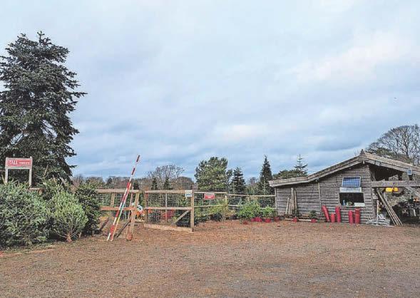 'If you'd asked permission it wouldn't be a problem' Drone dispute at Christmas farm