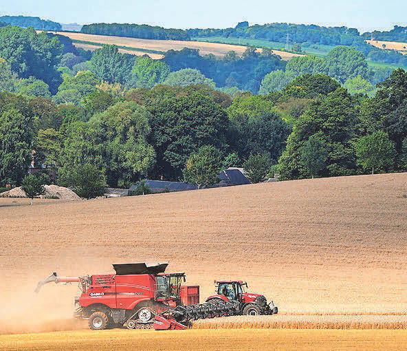 Review says new deal is needed for 'bewildered' farming sector