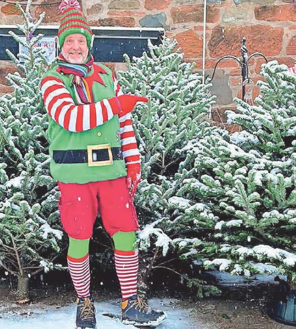 Christmas tree rentals getting more popular to reduce waste