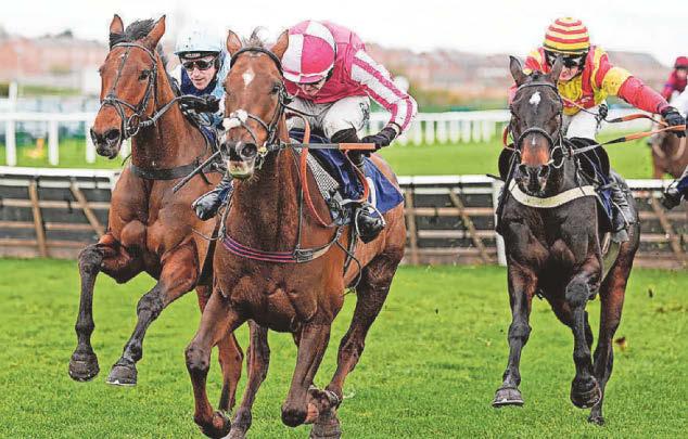 Jupiter Des Bordes ready to rule at Haydock Park