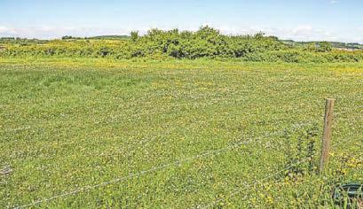 A key test of city's future policy on Green Belt