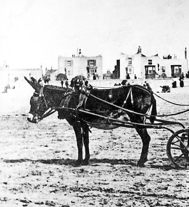Scandalous story led to mob on the streets