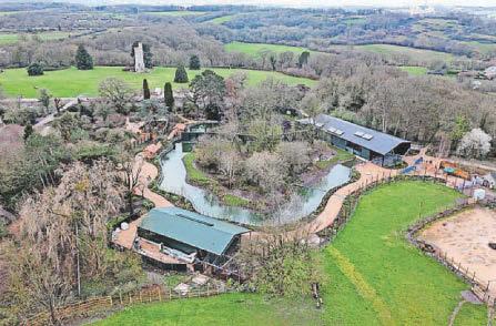 Zoo Project's African Forest to open next month