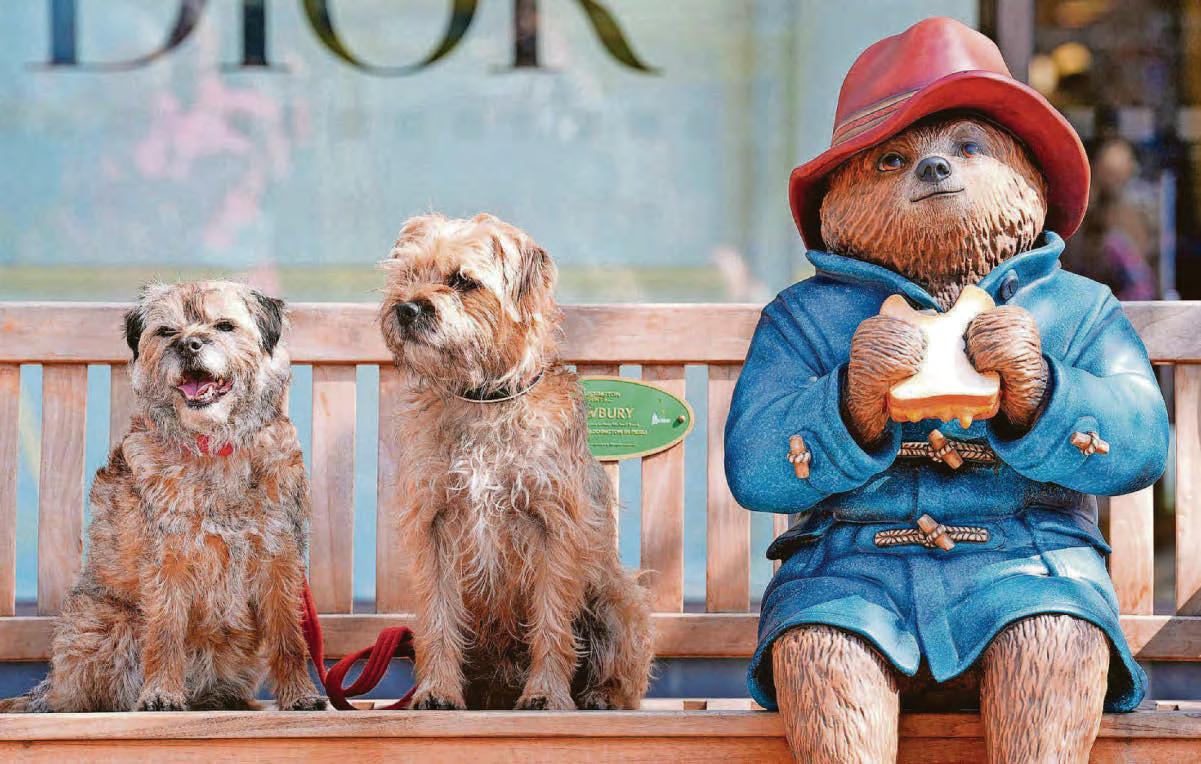 Community spirit 'helped to bring Paddington home'