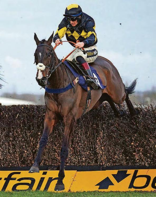 Rock My Way looks the right sort for Ayr contest