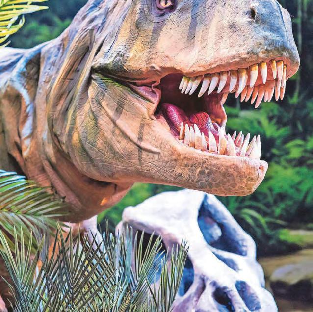 Roar-some dinos on tour