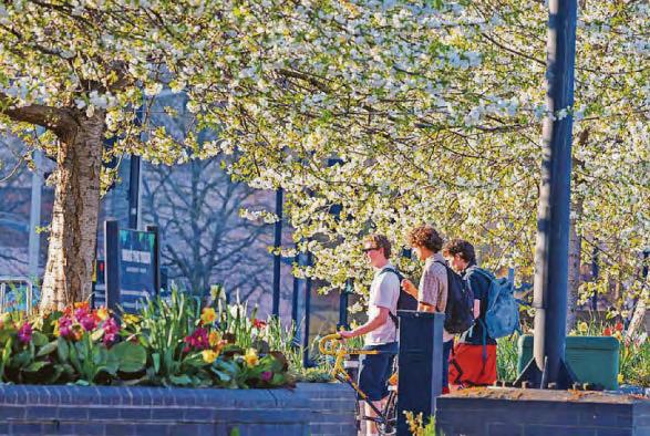 Downpours to start holiday weekend for some