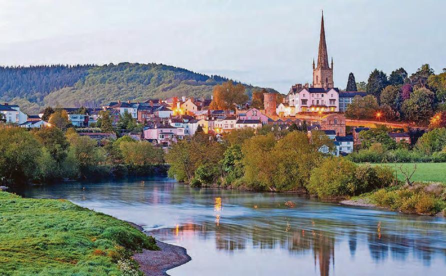 'Annex Ross-on-Wye to stop new town in Forest'