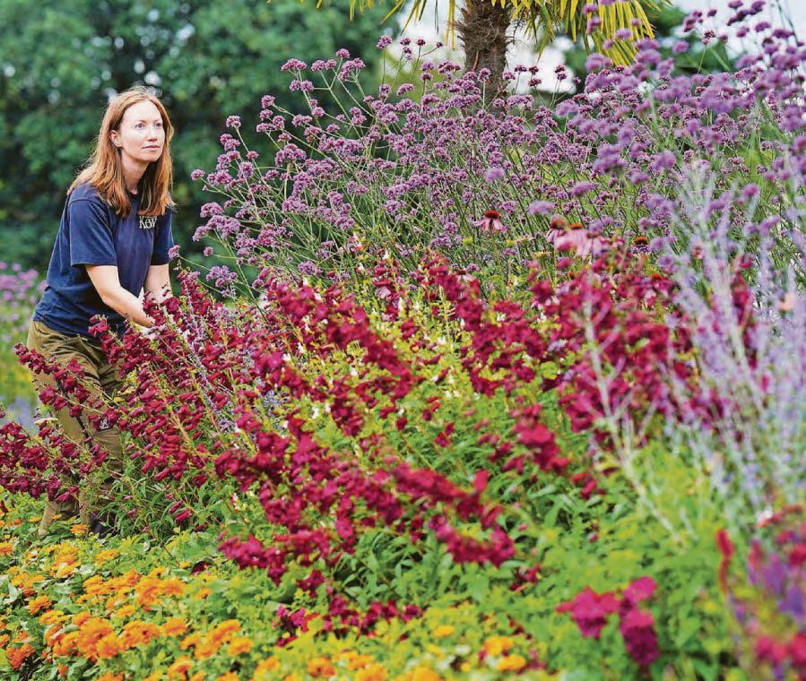 Expert advice A treat for the senses