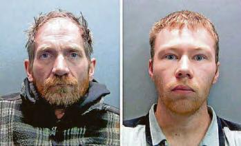 Two facing lengthy jail term for axing sycamore