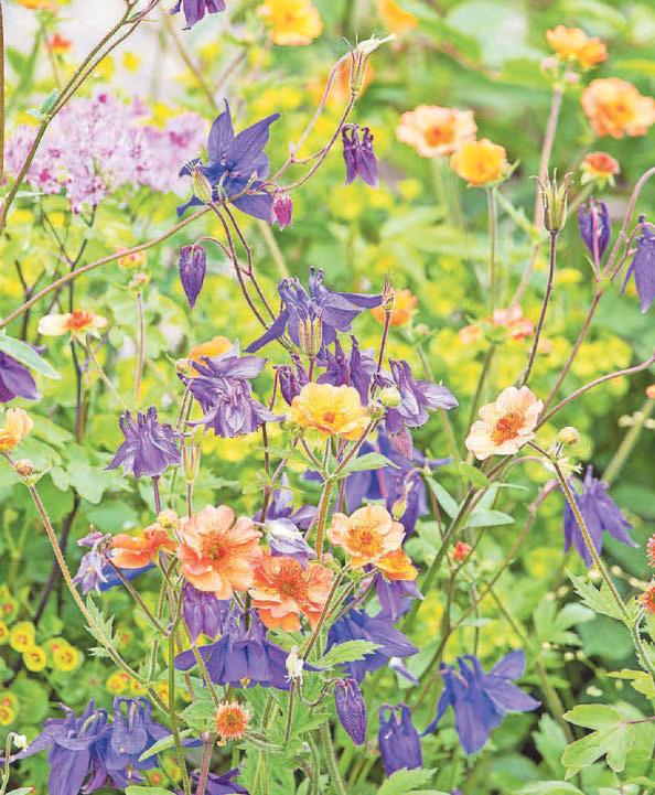 Spring into summer
