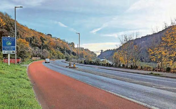 Thousands of city's sick ash trees set to be felled