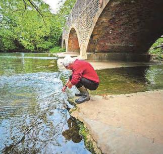 Record budget for EA to tackle pollution
