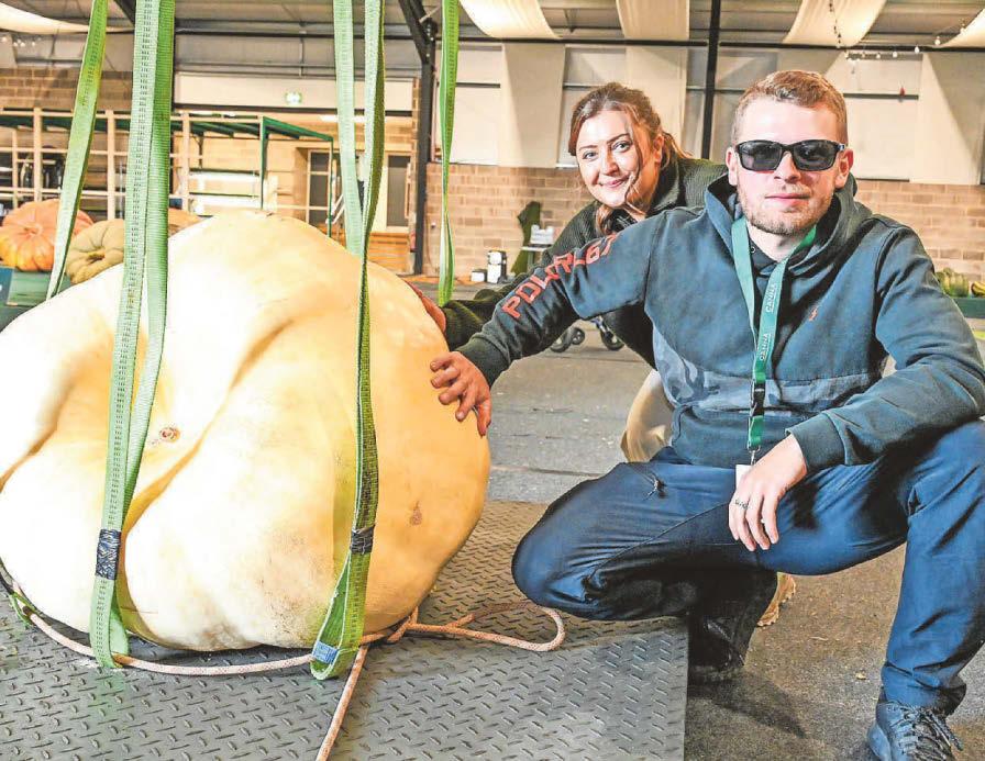 It’s go big or go home as autumn show returns