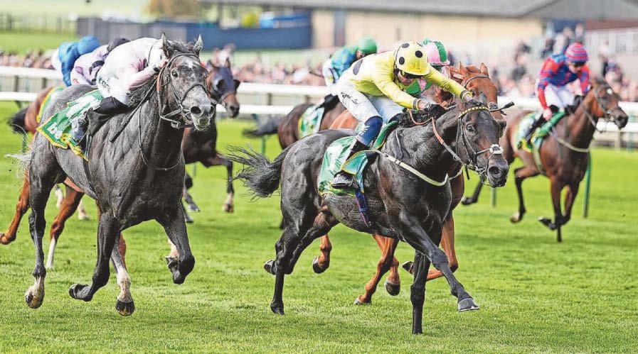 Boiling Point steams to victory