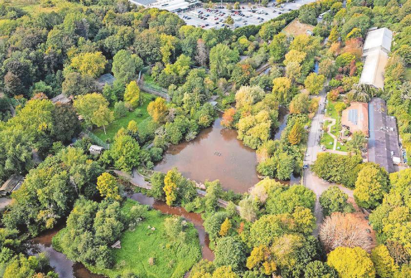 'Animals first' pledge as zoo goes up for sale