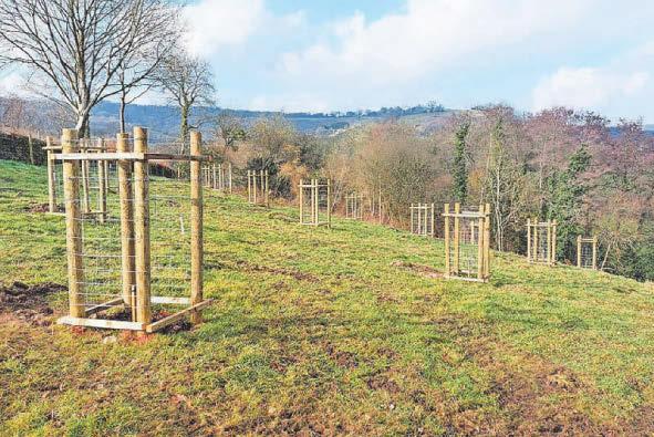 Farmers urged to apply for grants to support projects to boost nature recovery