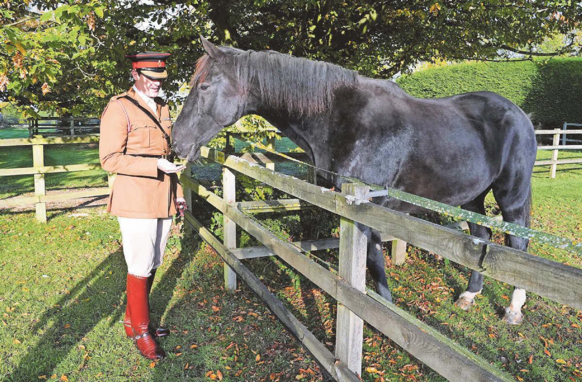 Military horse retires after bolting incident