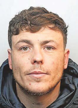 Prison for driver who ran into pedestrian