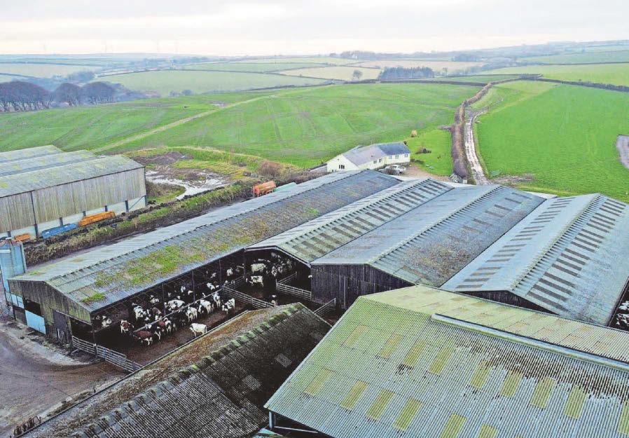 Farmland values 'high by historic standards'
