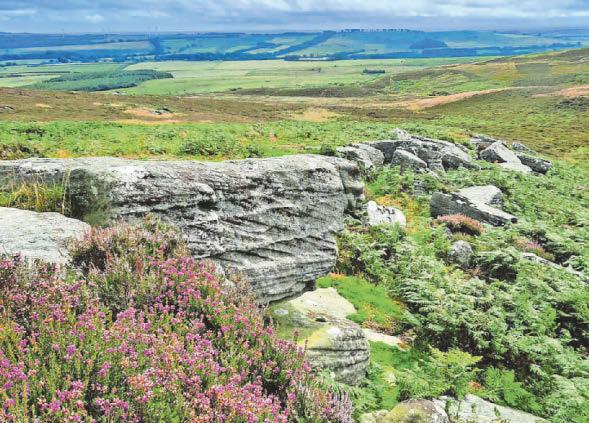 Attenborough backs buying vast moorland estate for nature