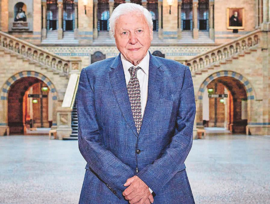 Drama as Sir David leads ‘Shakespearean' series