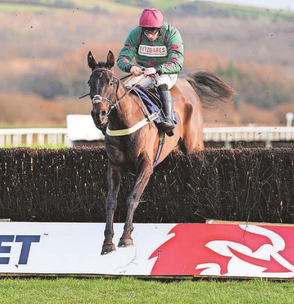 Handstands set for Haydock