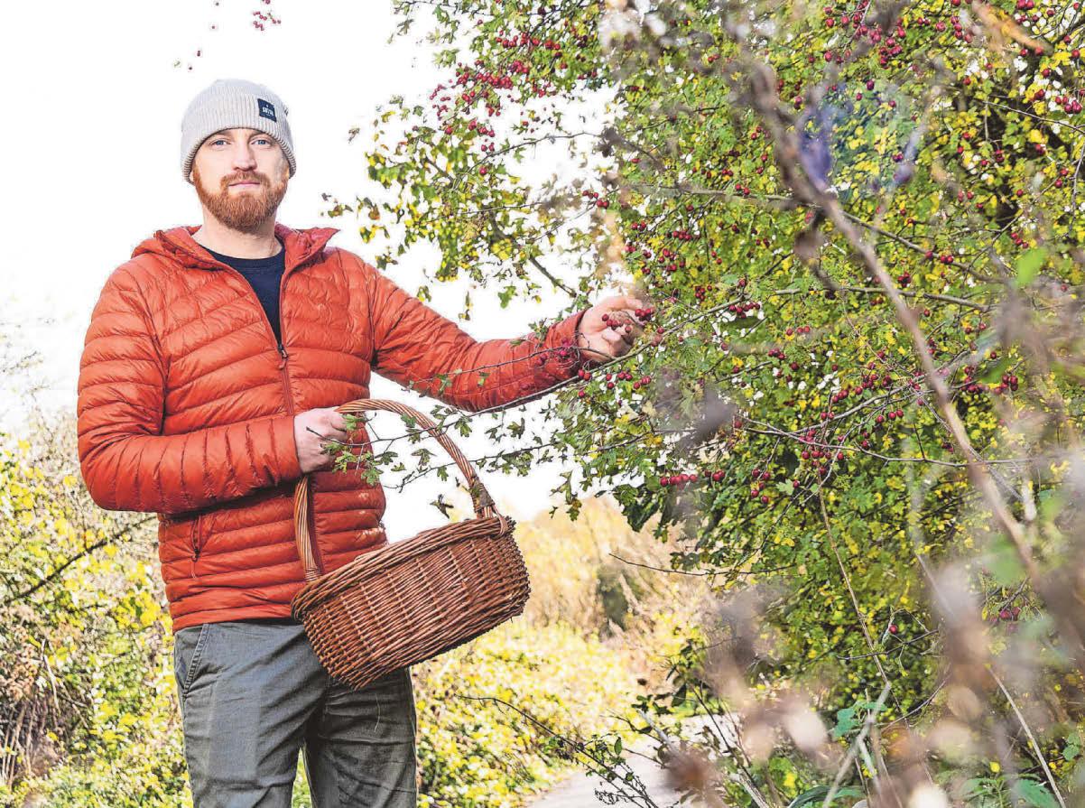 Lewis goes back to nature and saves £200 on his shopping bill