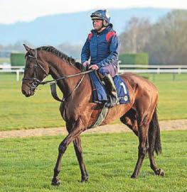 Elliott's star mare suffers small setback