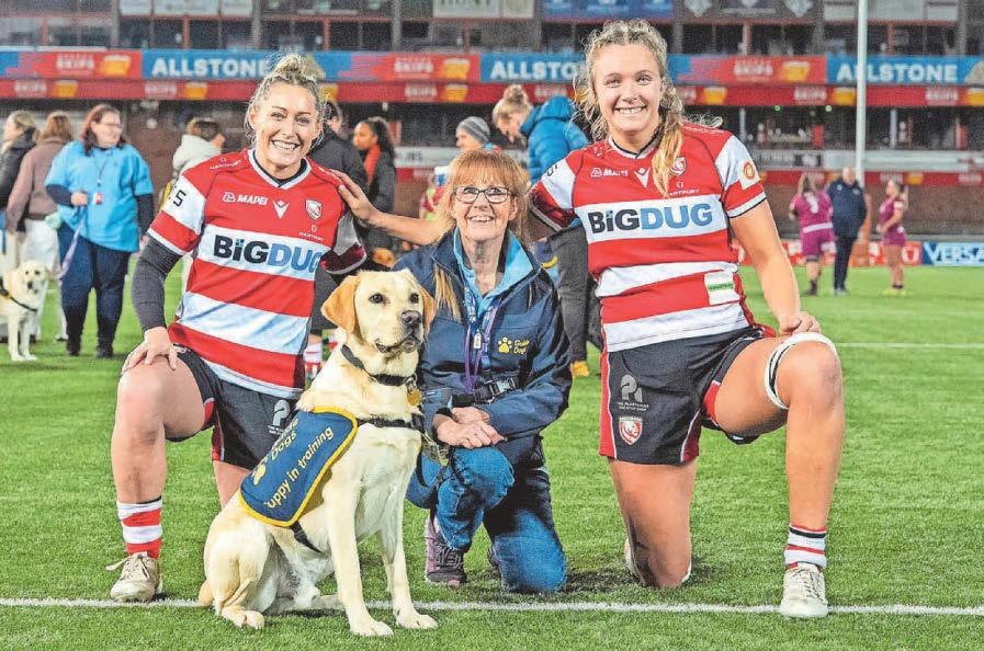 Rugby match helps guide dogs get used to crowds