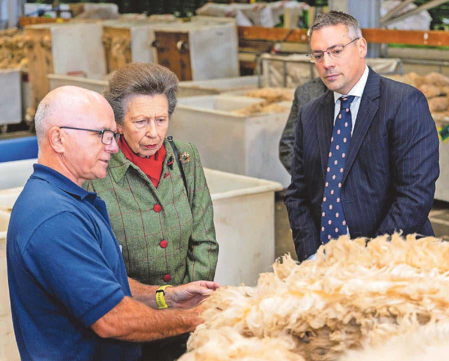 British Wool boosted by year of positive progress