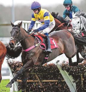 Lee eyes Christmas Hurdle for Nemean Lion