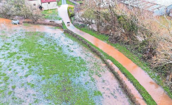 Plans to build 3,000 homes on land at risk of floods 'shameful'
