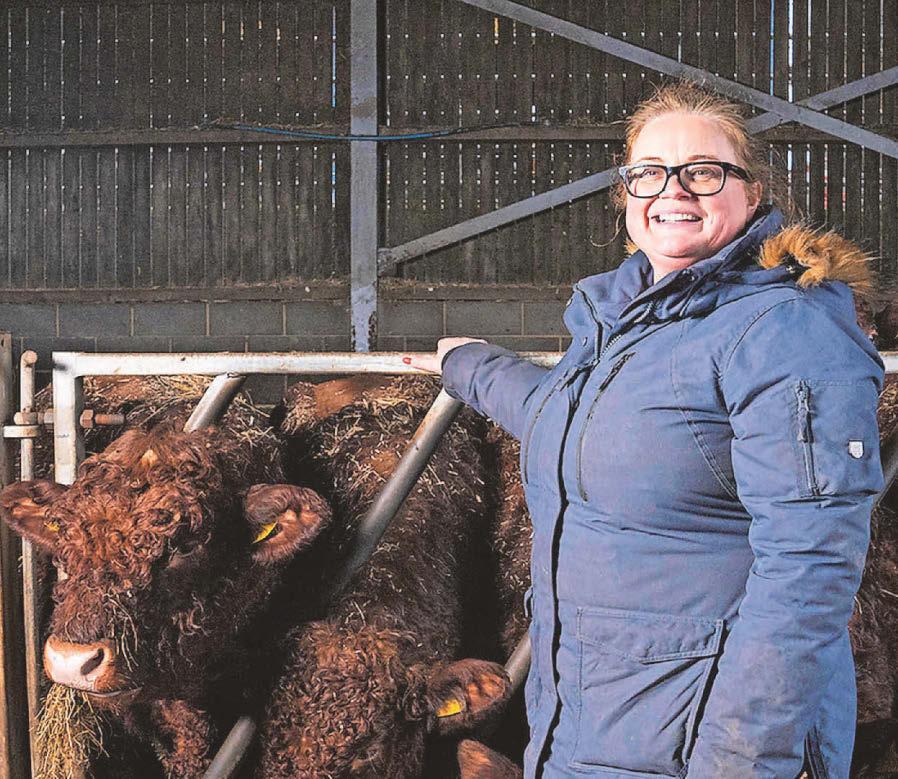 New protection for farm livestock hailed by NFU