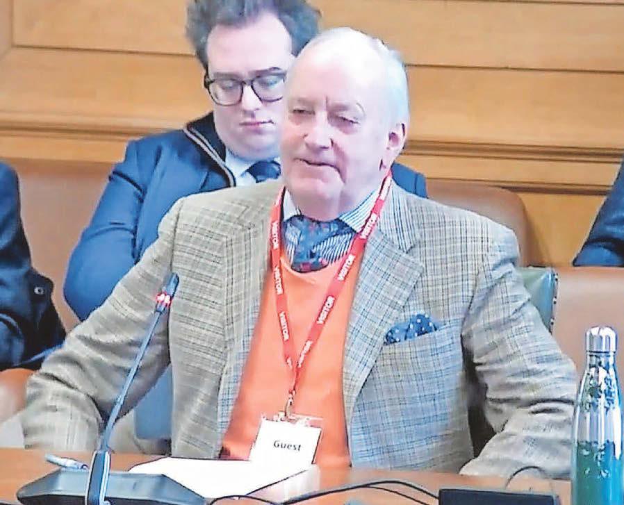 Ex-MP Hamilton steps into row over solar park