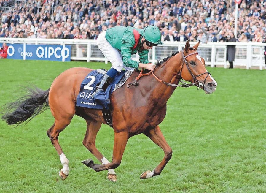 Longines crown Calandagan as the world's best racehorse
