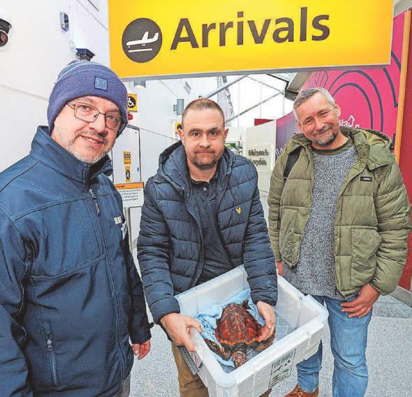 Crush swaps 'stressful' ferry ride for VIP treatment on airline