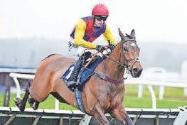 Aintree next for Supreme runner-up