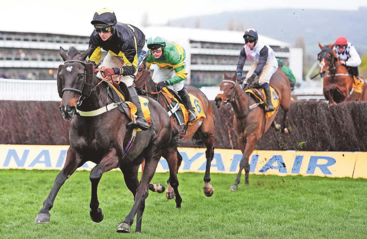 Trainer Tizzard maps out the plans for leading lights