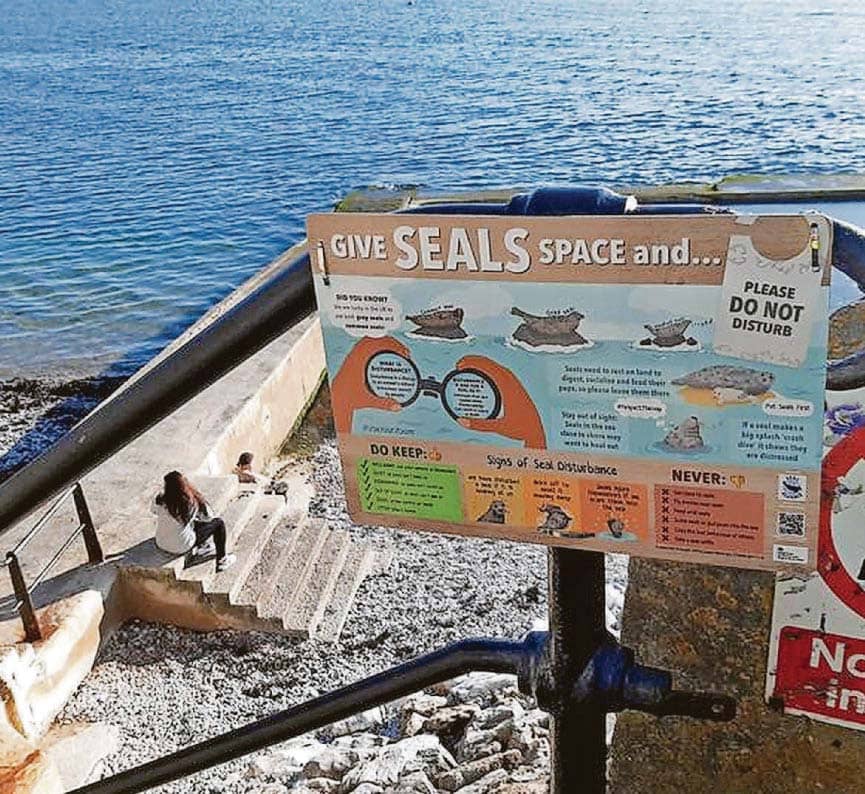 Make way for seals in Sound