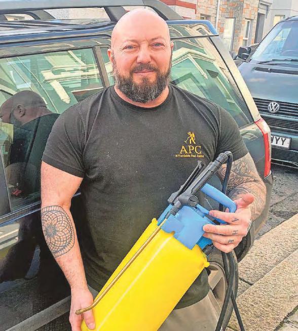 Insects joining rodents in city's pest problems