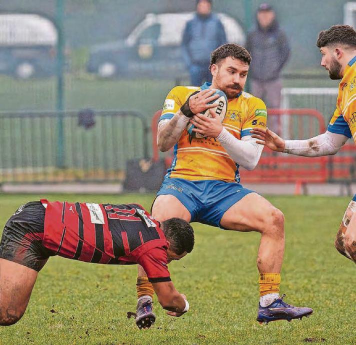 What a week it has been for Plymouth Albion and Argyle!