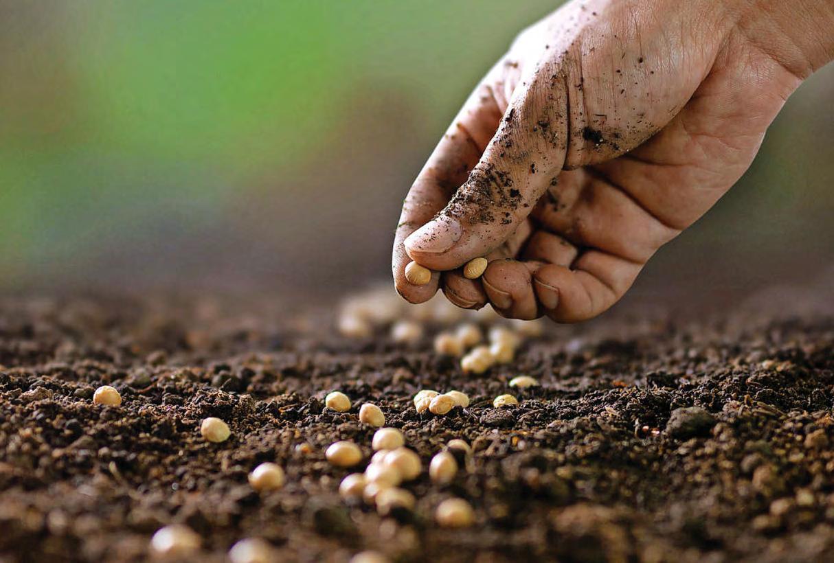 Reap what you SOW