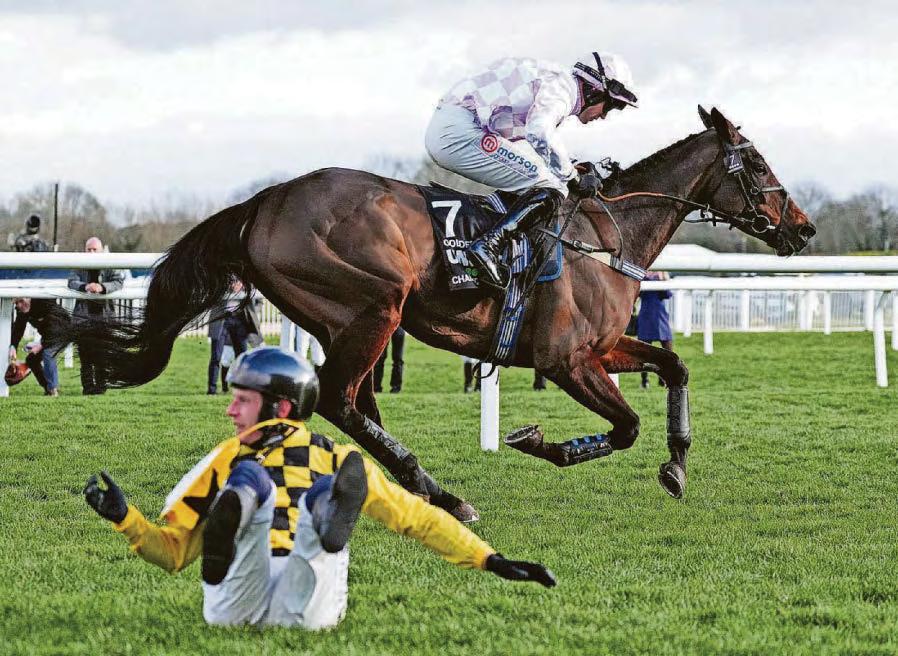 Unfancied Golden Ace wins a thriller as favourites drop out