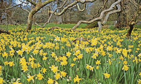 A season of renewal and hope