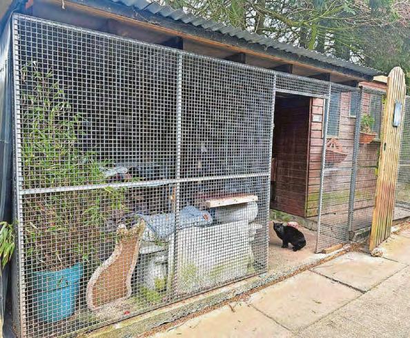 Animal charity's new unit appeal