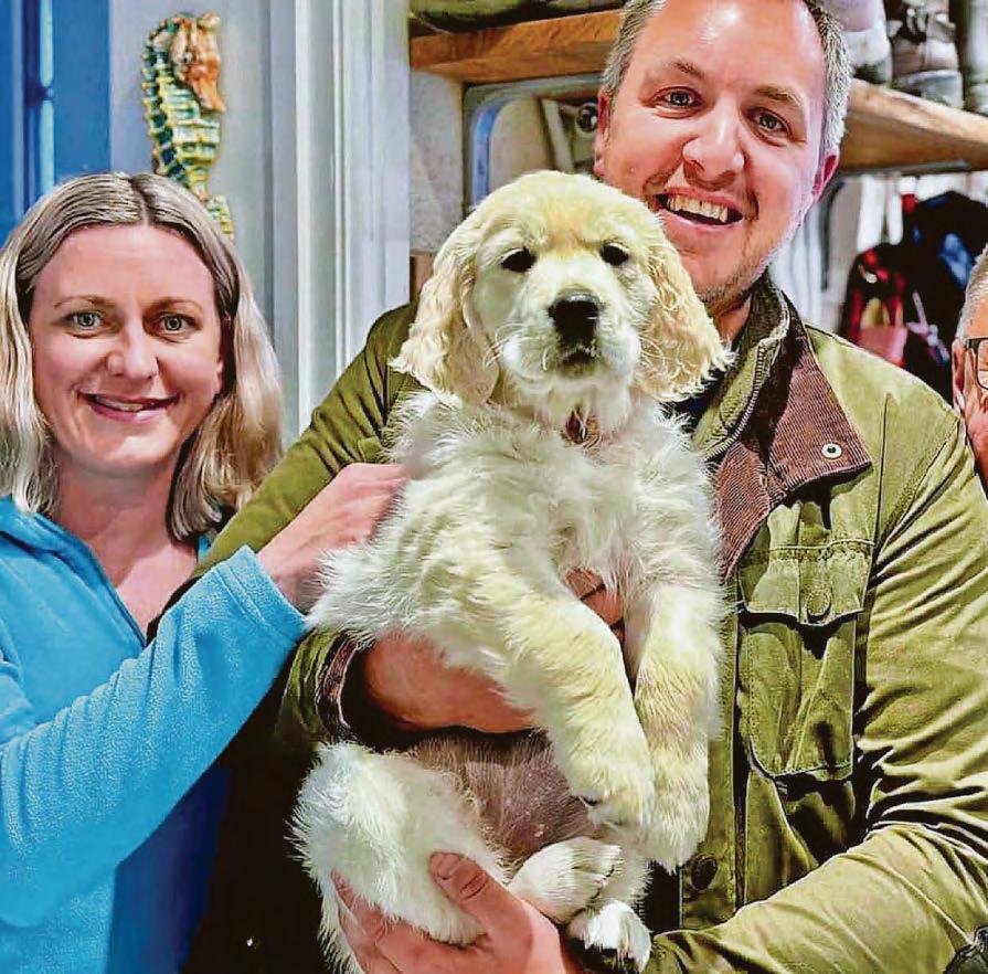 Dog walkers urged to avoid Plymouth fields