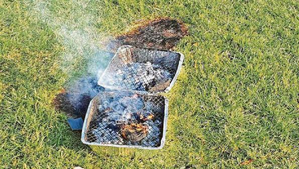 Blackened and bare patches 'blighting Hoe'